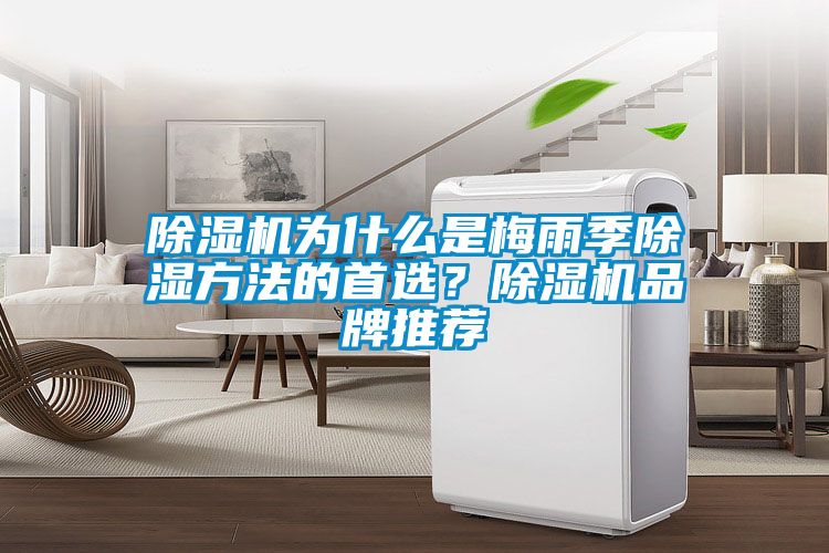 91视频链接下载為什麽是梅雨季除濕方法的首選？91视频链接下载品牌推薦