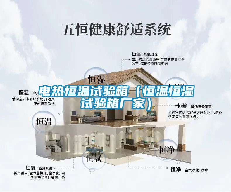 電熱恒溫試驗箱(恒溫恒濕試驗箱廠家)