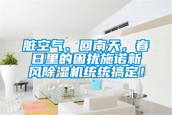 髒空氣、回南天，春日裏的困擾施諾新風91视频链接下载統統搞定！