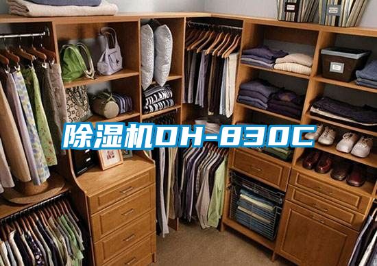 91视频链接下载DH-830C