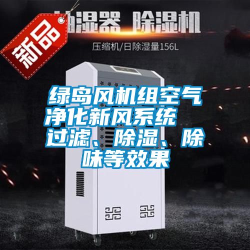 綠島風機組空氣淨化新風係統  過濾、除濕、除味等效果