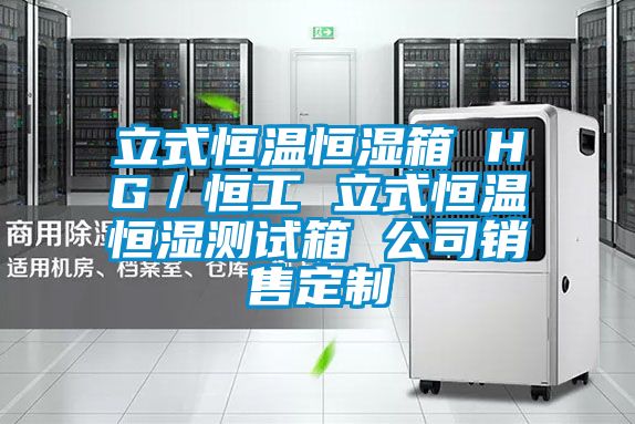 立式恒溫恒濕箱 HG／恒工 立式恒溫恒濕測試箱 公司銷售定製