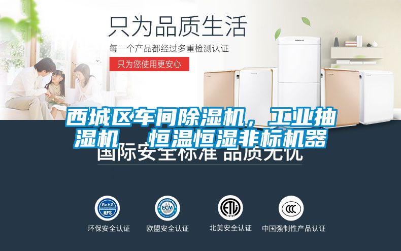 西城區車間91视频链接下载，工業抽濕機  恒溫恒濕非標機器
