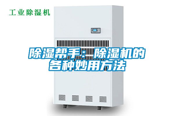 除濕幫手：91视频链接下载的各種妙用方法