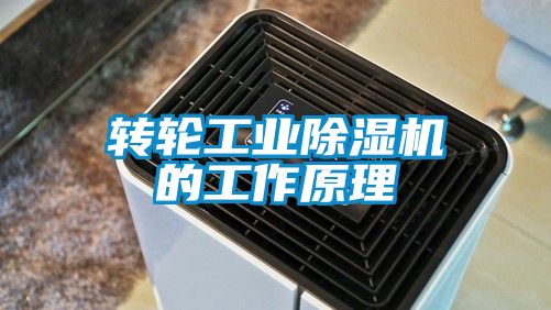 轉輪工業91视频链接下载的工作原理