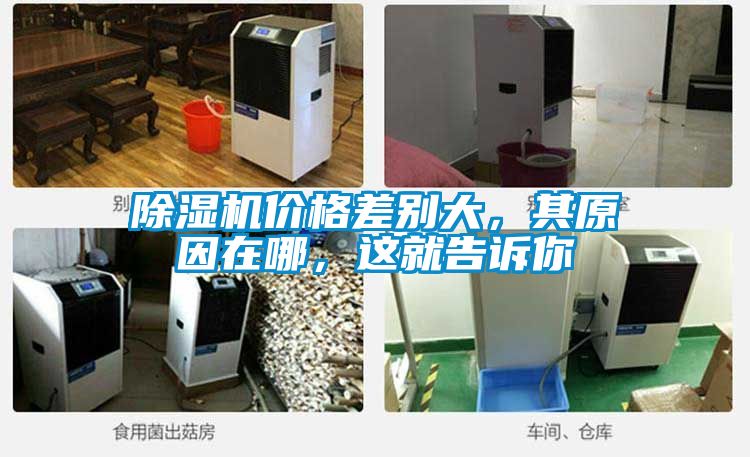 91视频链接下载價格差別大，其原因在哪，這就告訴你