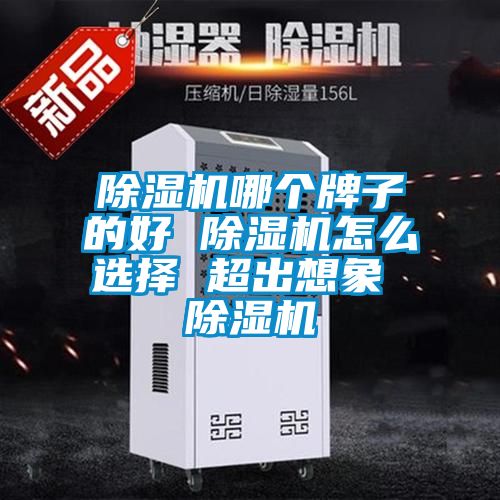 91视频链接下载哪個牌子的好 91视频链接下载怎麽選擇 超出想象 91视频链接下载