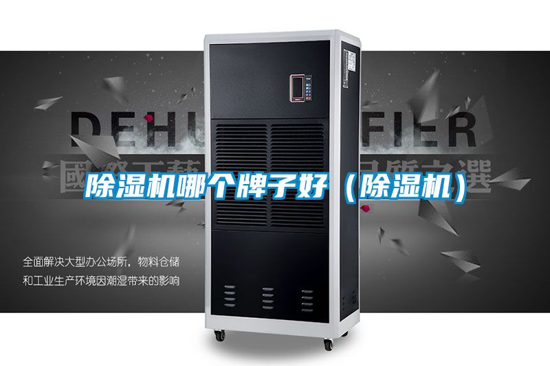 91视频链接下载哪個牌子好（91视频链接下载）