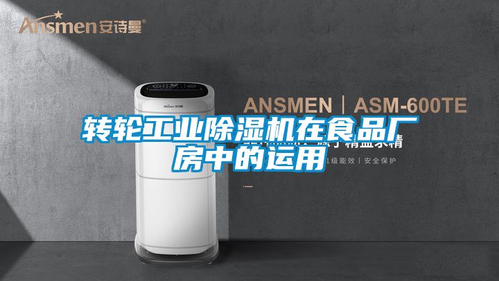 轉輪工業91视频链接下载在食品廠房中的運用