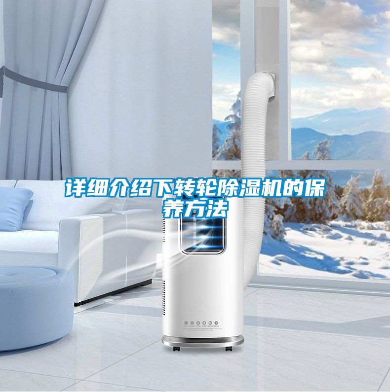 詳細介紹下轉輪91视频链接下载的保養方法