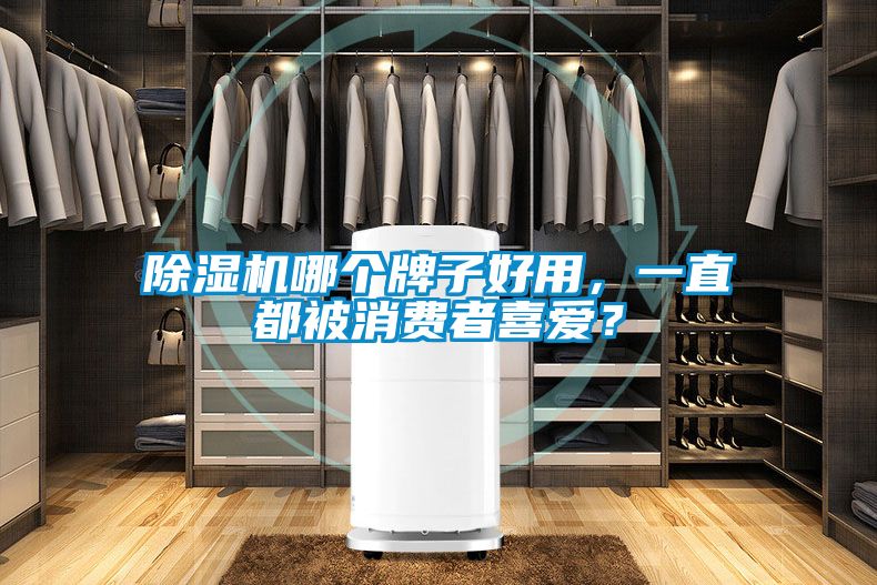 91视频链接下载哪個牌子好用，一直都被消費者喜愛？