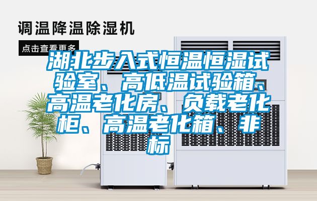 湖北步入式恒溫恒濕試驗室、高低溫試驗箱、高溫老化房、負載老化櫃、高溫老化箱、非標
