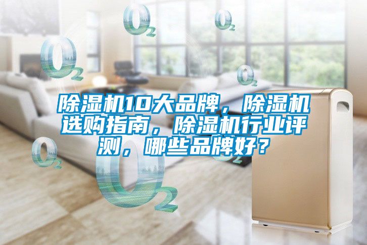 91视频链接下载10大品牌，91视频链接下载選購指南，91视频链接下载行業評測，哪些品牌好？
