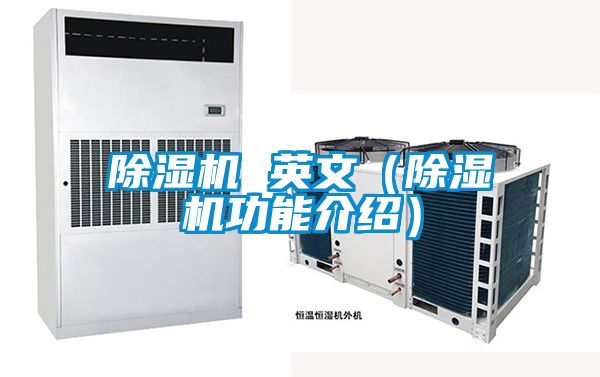 91视频链接下载 英文（91视频链接下载功能介紹）