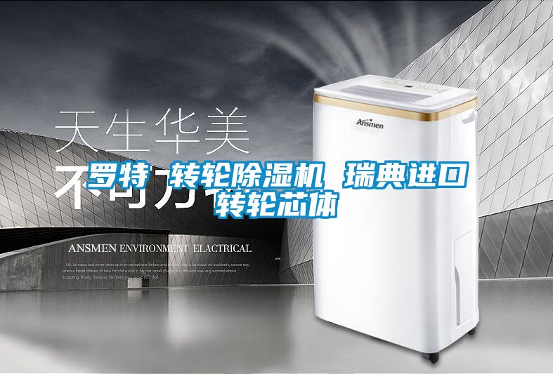 羅特 轉輪91视频链接下载 瑞典進口轉輪芯體