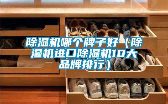 91视频链接下载哪個牌子好(91视频链接下载進口91视频链接下载10大品牌排行)