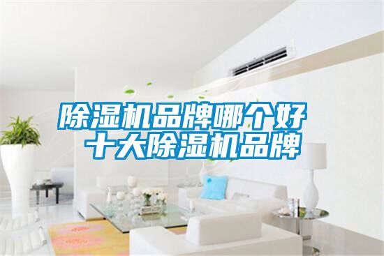 91视频链接下载品牌哪個好 十大91视频链接下载品牌