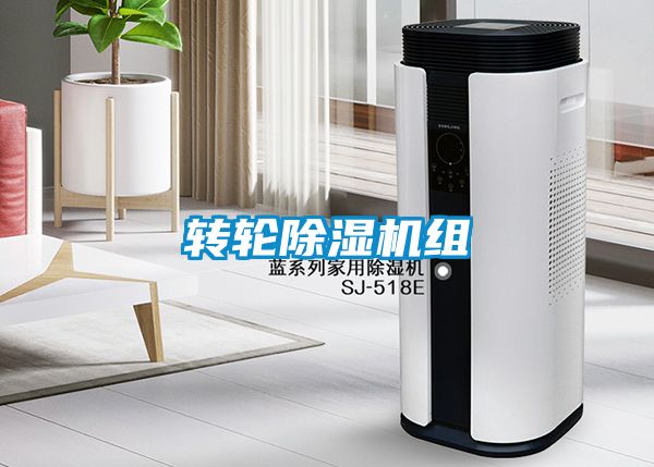 轉輪91视频链接下载組