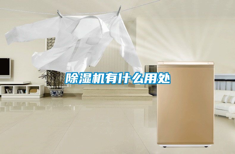 91视频链接下载有什麽用處