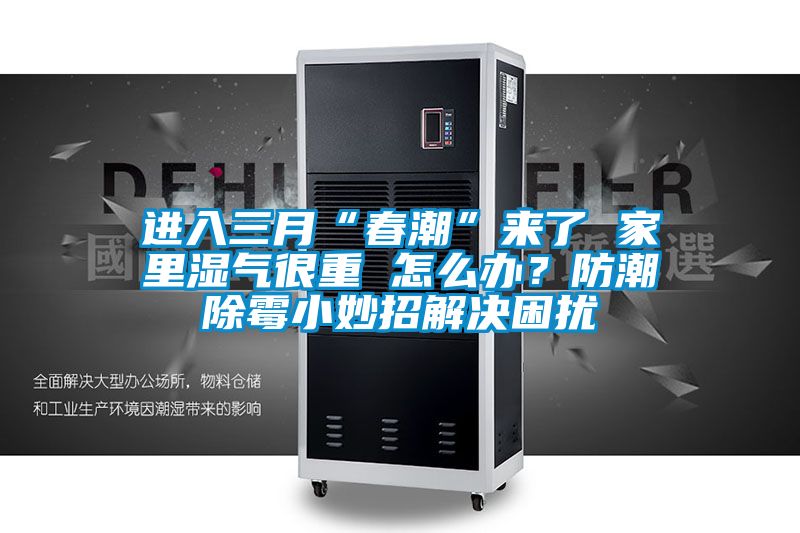 進入三月“春潮”來了 家裏濕氣很重 怎麽辦？防潮除黴小妙招解決困擾