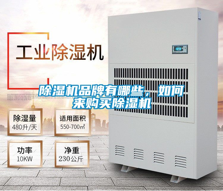 91视频链接下载品牌有哪些，如何來購買91视频链接下载