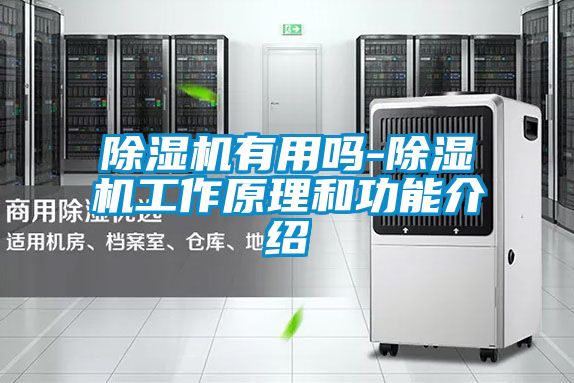 91视频链接下载有用嗎-91视频链接下载工作原理和功能介紹