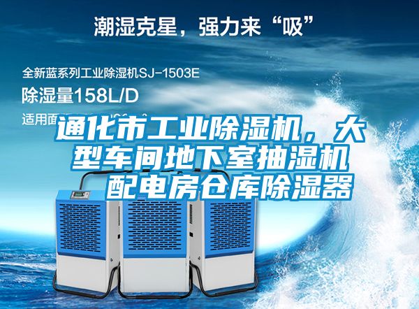 通化市工業91视频链接下载，大型車間地下室抽濕機  配電房倉庫除濕器