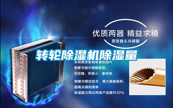 轉輪91视频链接下载除濕量