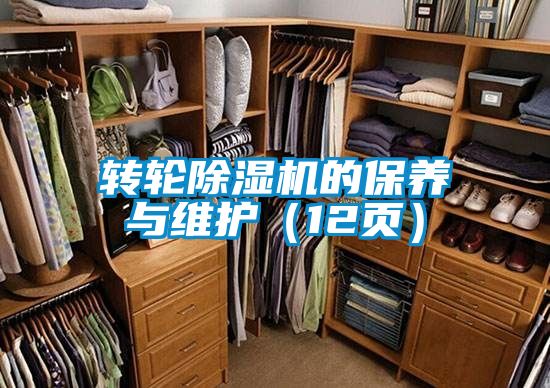 轉輪91视频链接下载的保養與維護（12頁）