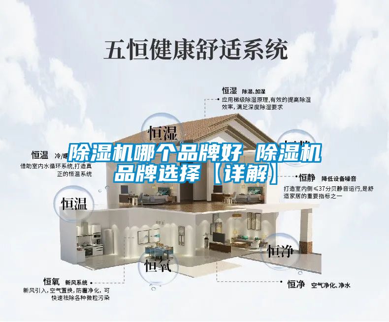 91视频链接下载哪個品牌好 91视频链接下载品牌選擇【詳解】