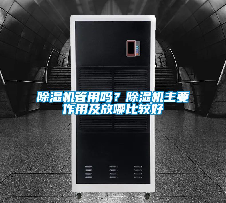 91视频链接下载管用嗎？91视频链接下载主要作用及放哪比較好