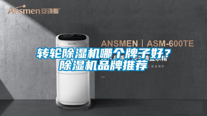 轉輪91视频链接下载哪個牌子好？91视频链接下载品牌推薦