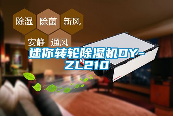 迷你轉輪91视频链接下载DY-ZL210