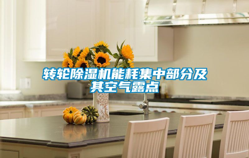 轉輪91视频链接下载能耗集中部分及其空氣露點