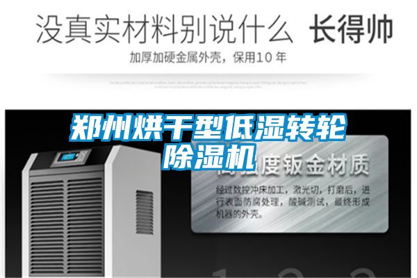 鄭州烘幹型低濕轉輪91视频链接下载