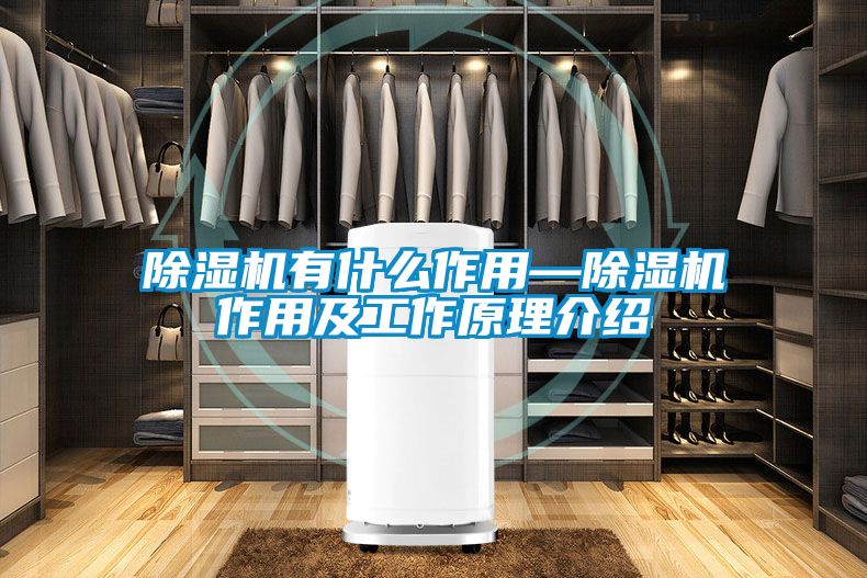 91视频链接下载有什麽作用—91视频链接下载作用及工作原理介紹