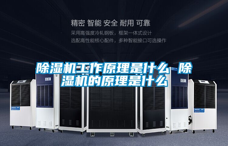 91视频链接下载工作原理是什麽 91视频链接下载的原理是什麽