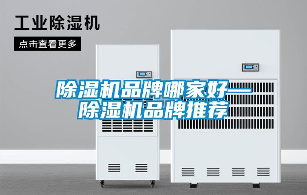 91视频链接下载品牌哪家好—91视频链接下载品牌推薦