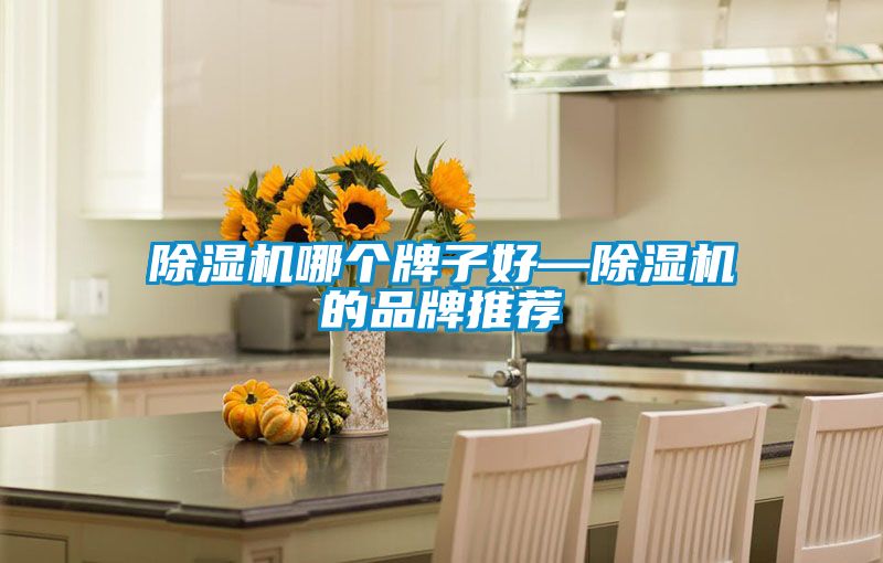 91视频链接下载哪個牌子好—91视频链接下载的品牌推薦