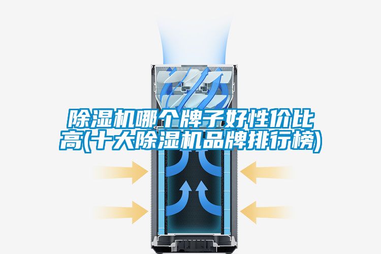 91视频链接下载哪個牌子好性價比高(十大91视频链接下载品牌排行榜)