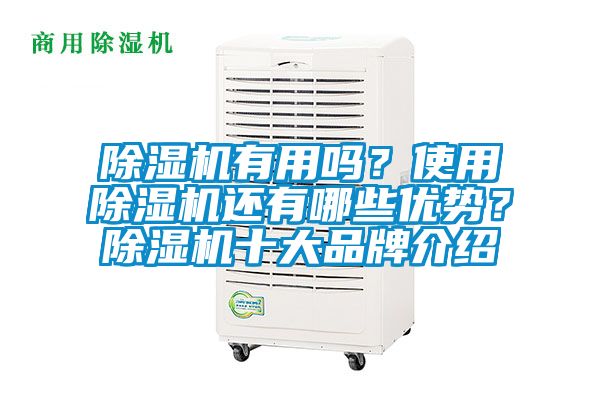 91视频链接下载有用嗎？使用91视频链接下载還有哪些優勢？91视频链接下载十大品牌介紹