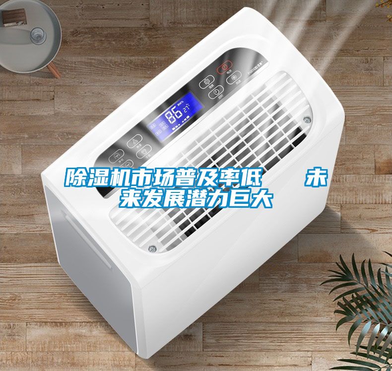 91视频链接下载市場普及率低 未來發展潛力巨大