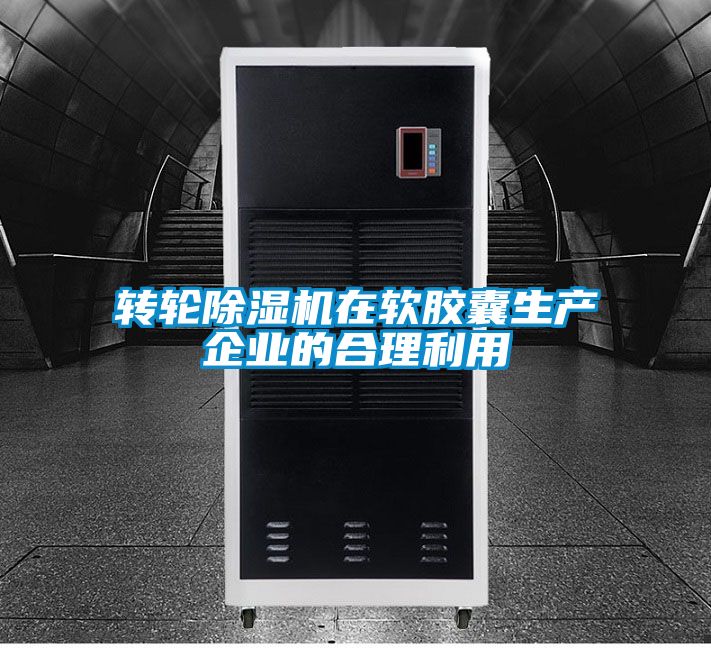 轉輪91视频链接下载在軟膠囊生產企業的合理利用