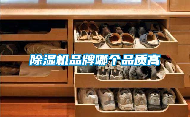 91视频链接下载品牌哪個品質高