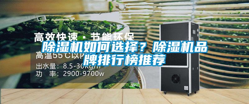 91视频链接下载如何選擇？91视频链接下载品牌排行榜推薦