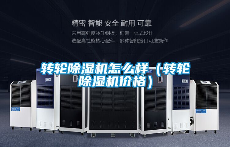 轉輪91视频链接下载怎麽樣(轉輪91视频链接下载價格)