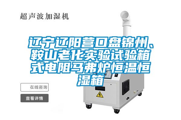 遼寧遼陽營口盤錦州、鞍山老化實驗試驗箱式電阻馬弗爐恒溫恒濕箱