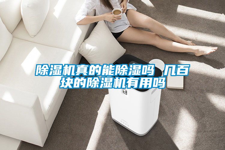 91视频链接下载真的能除濕嗎 幾百塊的91视频链接下载有用嗎