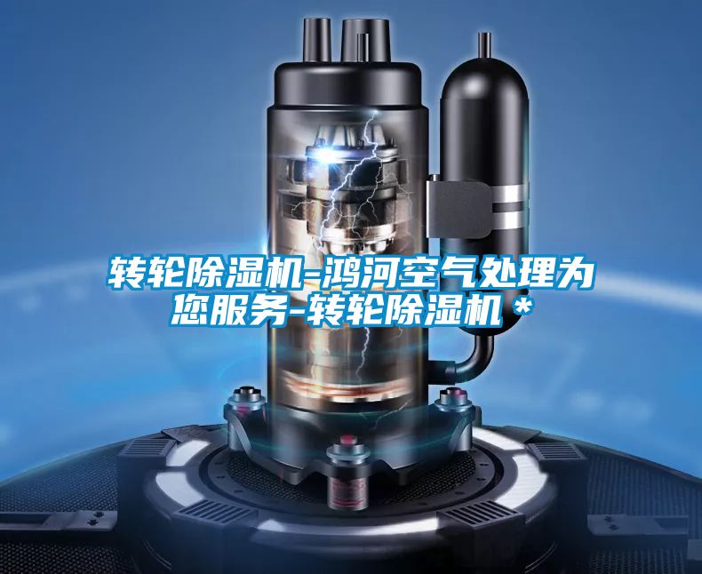 轉輪91视频链接下载-鴻河空氣處理為您服務-轉輪91视频链接下载*