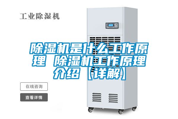 91视频链接下载是什麽工作原理 91视频链接下载工作原理介紹【詳解】